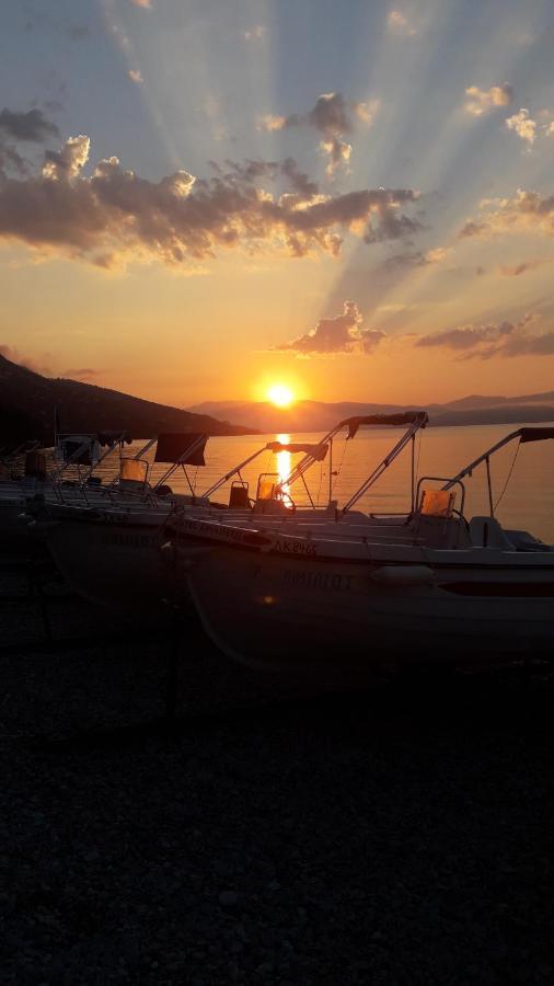 Vasiliki See View Apartments Barbati Exterior foto